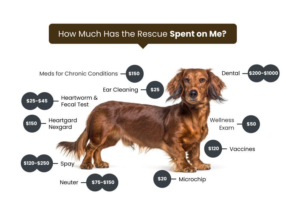Tennessee Dachshund Rescue Fee Graphic-Dogs