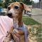 Carmel