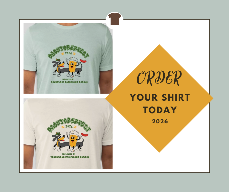 ORDER (2)